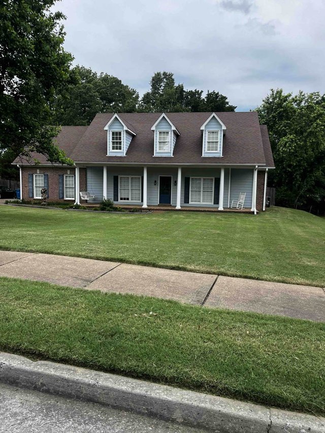 Freshly cut lawn